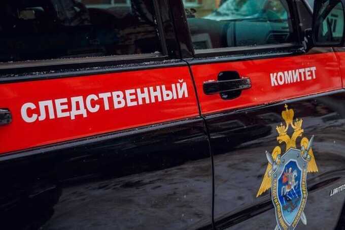 В отношении напавшего на женщину с ребенком мужчину с мачете возбудили дело